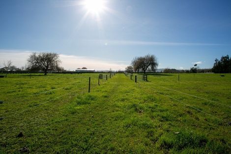 Photo of property in 59 Nickle Road, Cambridge, 3495