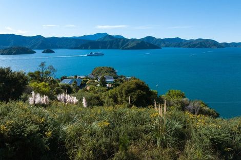 Photo of property in 318 Port Underwood Road, Whatamango Bay, Picton, 7281