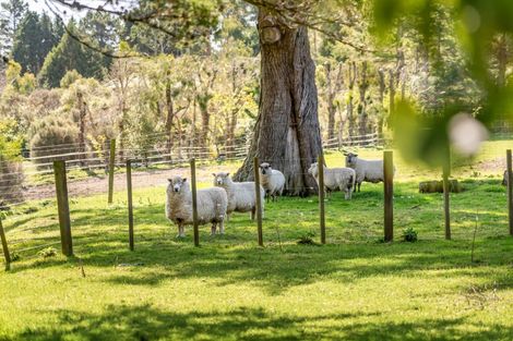 Photo of property in 1031c Blue Mountains Road, Blue Mountains, Upper Hutt, 5371