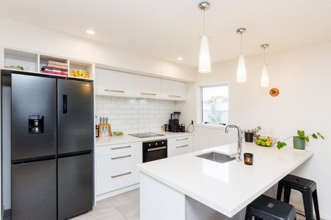 Photo of property in 44a Pharazyn Street, Feilding, 4702