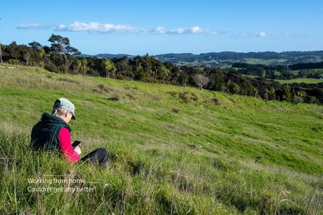 Photo of property in 485 Kiwitahi Road, Helensville, 0875