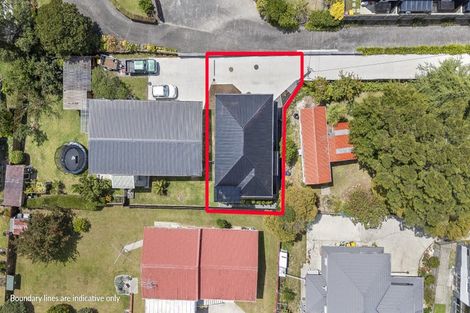 Photo of property in 16 James Laurie Street, Henderson, Auckland, 0612