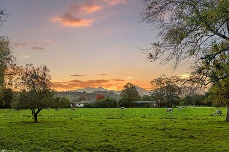 Photo of property in 584 Orari Station Road, Geraldine, 7992