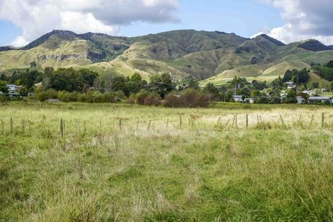 Photo of property in 100 Norwood Road, Paeroa, 3600