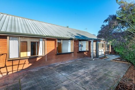 Photo of property in 61 Torrens Road, Hillmorton, Christchurch, 8024