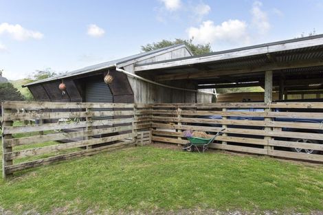 Photo of property in 487 Wilson Road, South Head, Helensville, 0874