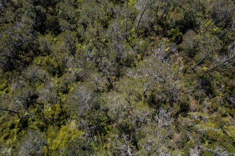 Photo of property in 8 Patricia Place, Hahei, Whitianga, 3591