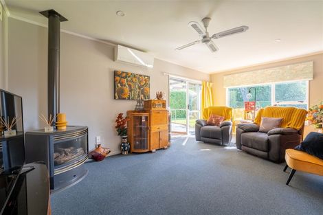 Photo of property in 45a Mckenzie Street, Geraldine, 7930