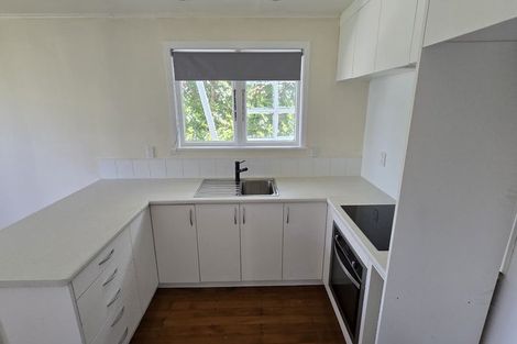 Photo of property in 31a Krull Street, Vogeltown, Wellington, 6021
