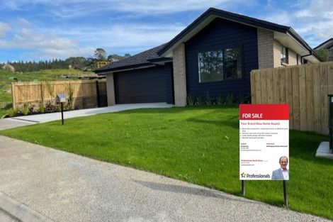 Photo of property in 24 Rongomai Street, Helensville, 0800