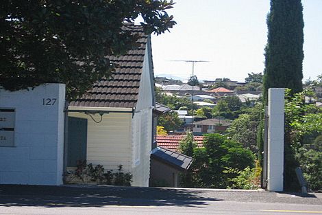 Photo of property in 127a Forrest Hill Road, Forrest Hill, Auckland, 0620