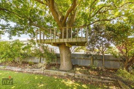 Photo of property in 17 Sandilands Street, Feilding, 4702