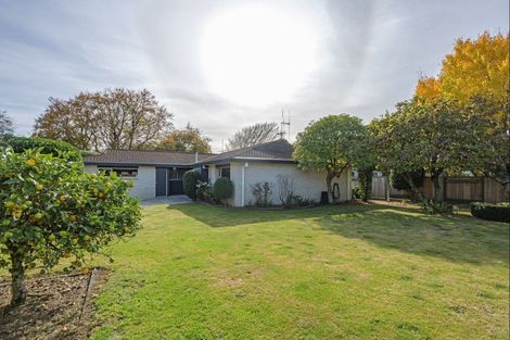 Photo of property in 74a Fitzroy Street, Terrace End, Palmerston North, 4410