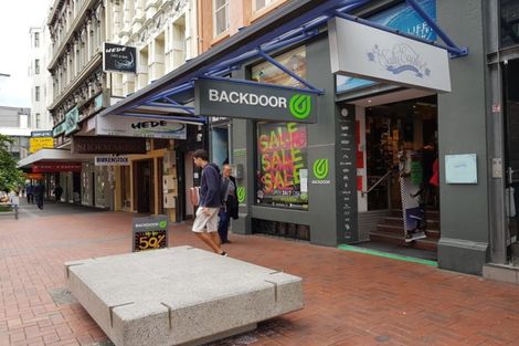 Photo of property in 45 Cuba Street, Takaro, Palmerston North, 4412