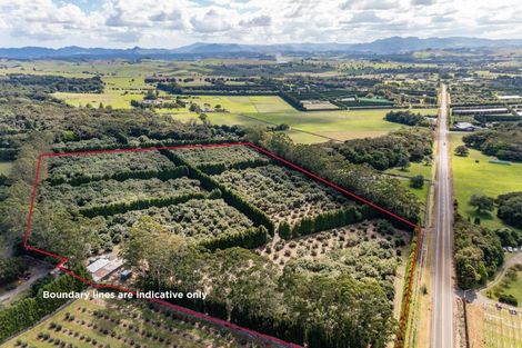 Photo of property in 485 Mangakahia Road, Maungatapere, Whangarei, 0179