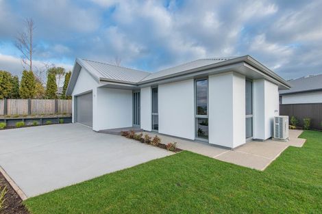 Photo of property in 5 Tapley Close, Halfway Bush, Dunedin, 9010