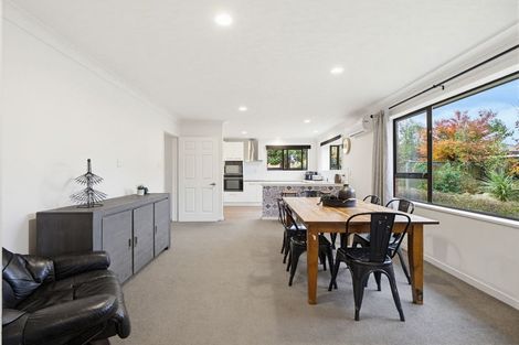 Photo of property in 87 Ayers Street, Rangiora, 7400