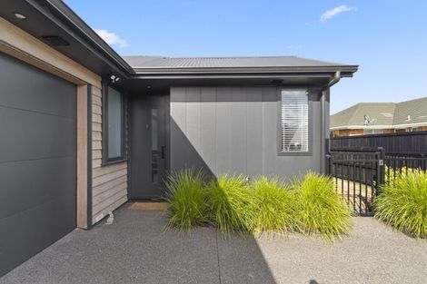 Photo of property in 9u1 Kingsley Street, Saint Andrews, Hamilton, 3200