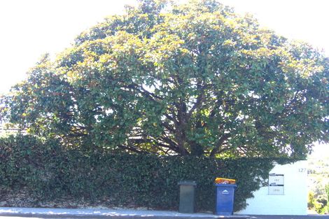 Photo of property in 127a Forrest Hill Road, Forrest Hill, Auckland, 0620