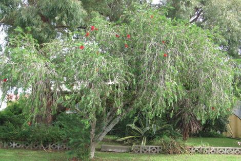 Photo of property in 14 Geordie Street, Henderson, Auckland, 0612