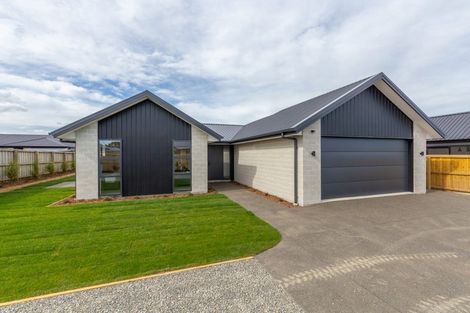 Photo of property in 23 Greig Crescent, Amberley, 7481