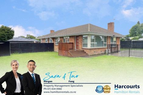 Photo of property in 134a Galloway Street, Hamilton East, Hamilton, 3216