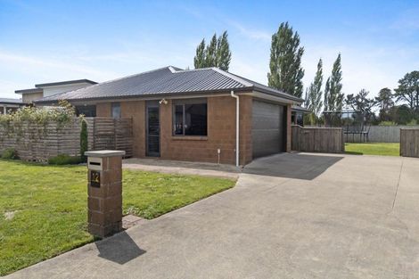 Photo of property in 12 Molesworth Street, Carterton, 5713