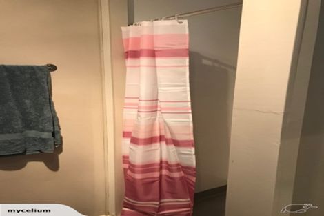 Photo of property in 60 Mortimer Terrace, Brooklyn, Wellington, 6021