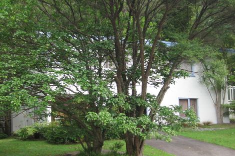 Photo of property in 28 Daffodil Street, Titirangi, Auckland, 0604