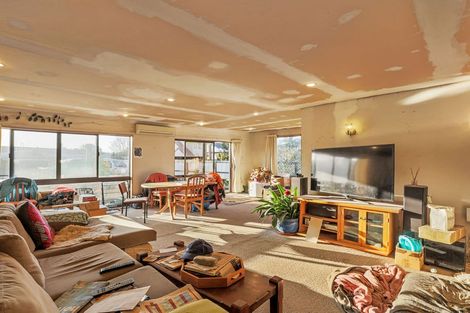 Photo of property in 243 Lyttelton Street, Spreydon, Christchurch, 8024