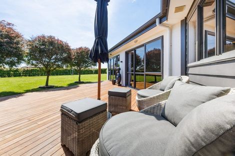 Photo of property in 93 Mount Taylor Drive, Feilding, 4775