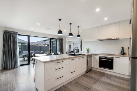 Photo of property in 273 Island Road, Kaiapoi, 7630