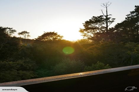 Photo of property in 11 San Pedro Place, Henderson, Auckland, 0612