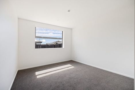 Photo of property in 81 Akoranga Place, Hornby, Christchurch, 8042
