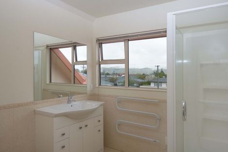 Photo of property in 100a Alfred Street, Blenheim, 7201