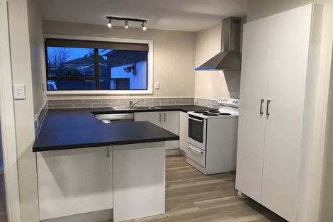 Photo of property in 45 Deepdale Street, Burnside, Christchurch, 8053