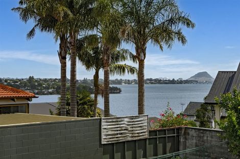 Photo of property in 29 Ririnui Place, Maungatapu, Tauranga, 3112