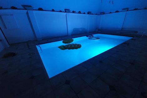 Photo of property in 21 Mansfield Drive, Kaiapoi, 7630