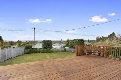 Photo of property in 12 Terrace Street, Putaruru, 3411
