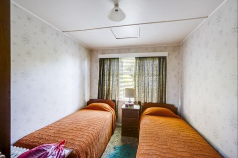 Photo of property in 700 Tamatea Street, Mahora, Hastings, 4120