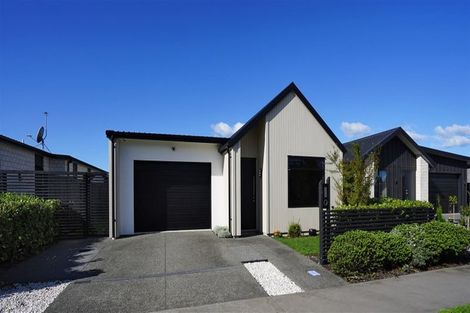 Photo of property in 14 Voight Avenue, Chartwell, Hamilton, 3210