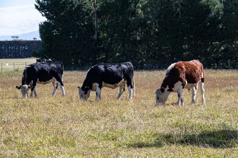 Photo of property in 1070 Grahams Road, Ashton, Ashburton, 7774