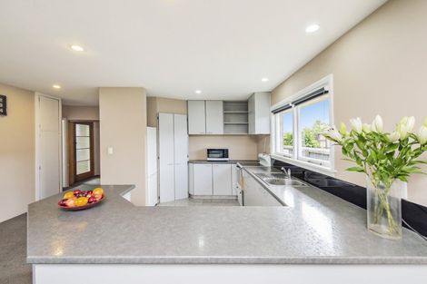 Photo of property in 17 Cunningham Place, Halswell, Christchurch, 8025