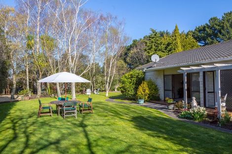 Photo of property in 175 Lincoln Road, Carterton, 5713