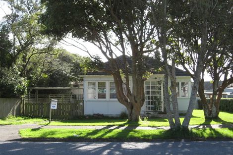 Photo of property in 119 Judd Crescent, Naenae, Lower Hutt, 5011