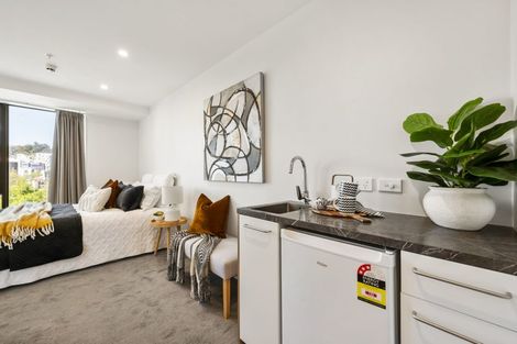 Photo of property in Vsp South, 301/168u Victoria Street, Te Aro, Wellington, 6011
