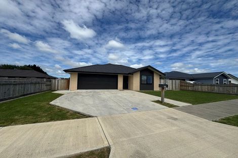 Photo of property in 8 Rayner Lane, Marton, 4710