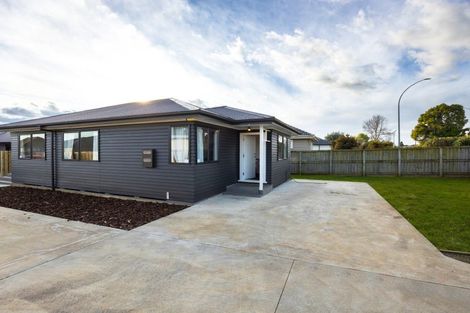 Photo of property in 401a Peachgrove Road, Fairfield, Hamilton, 3214