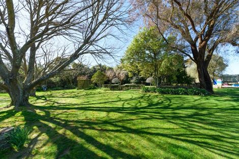 Photo of property in 36 Arnott Street, Feilding, 4702