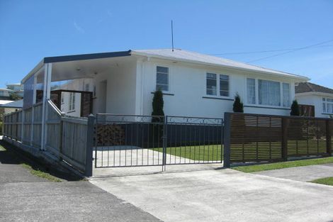 Photo of property in 48 Glasgow Terrace, Feilding, 4702
